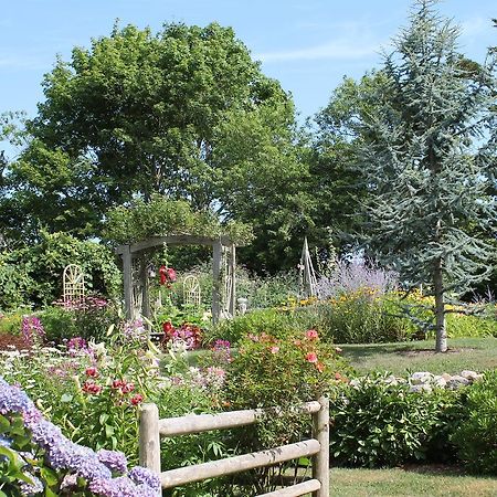 Bed and Breakfast Lavender Bay Barnstable Exteriér fotografie