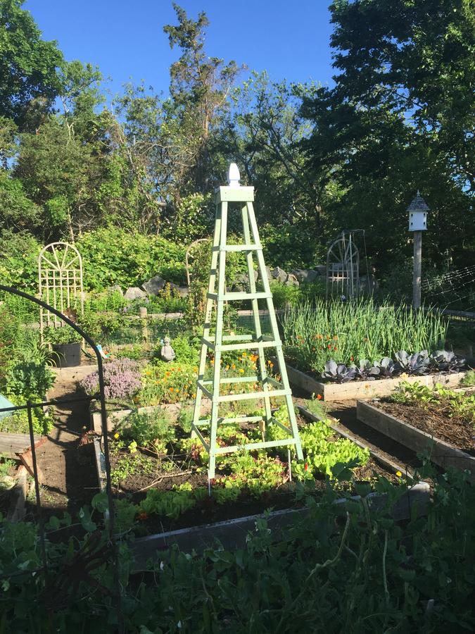 Bed and Breakfast Lavender Bay Barnstable Exteriér fotografie